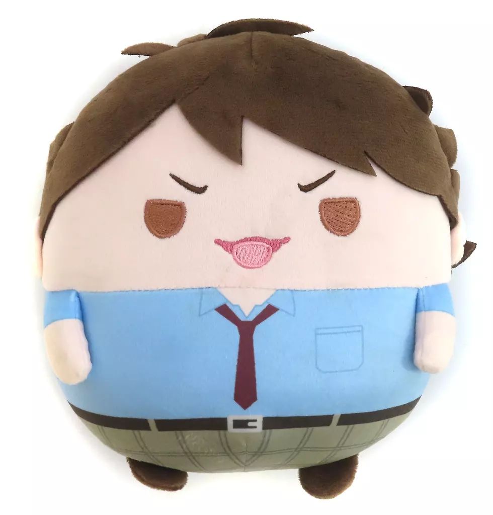 ハイキュー!! 及川徹 ぬいぐるみ 7種 中古】ぬいぐるみ 及川徹(夏服ver.) ふわコロりんMsize6(ぬいぐるみ