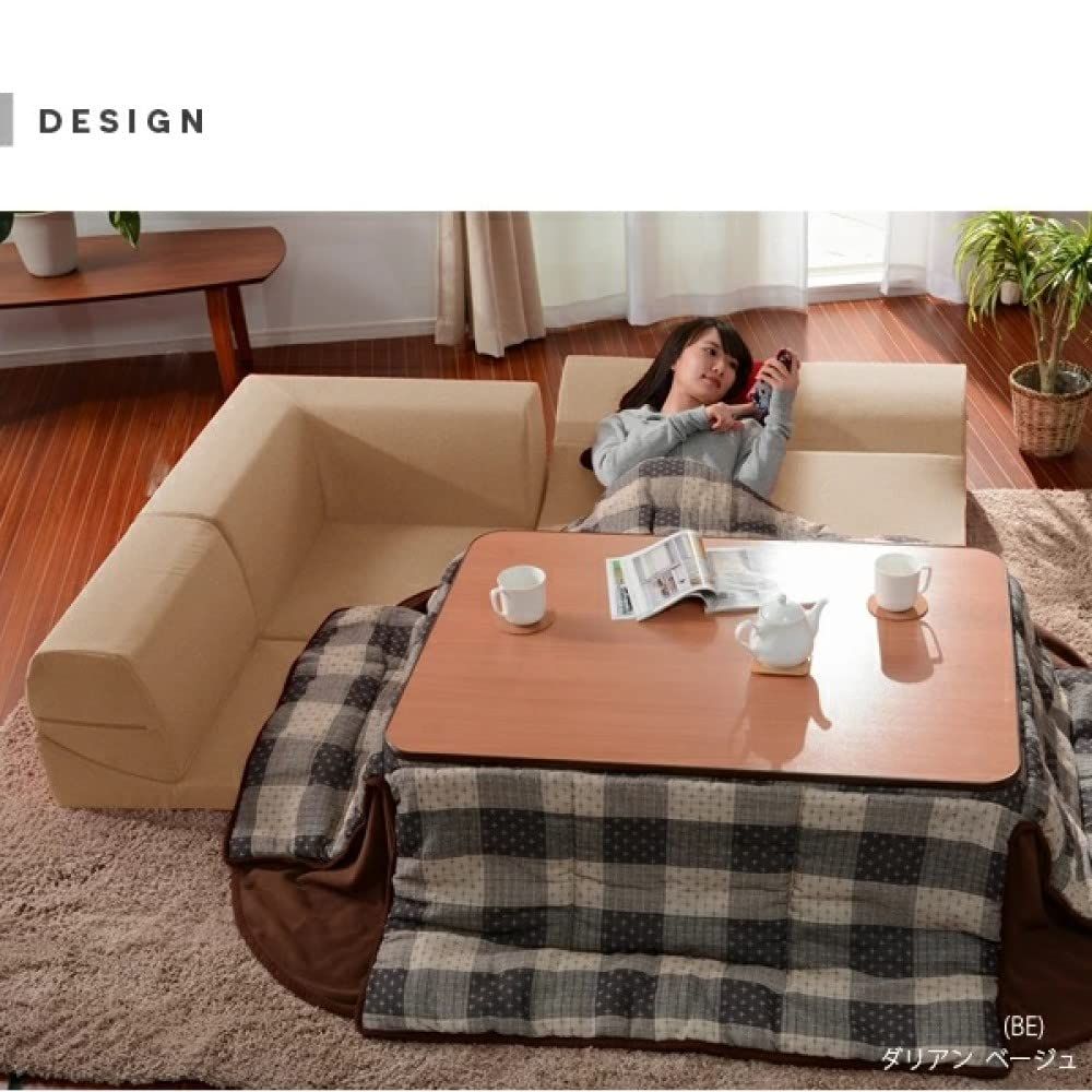 セルタン Cellutane ローソファー 高反発 カバーが洗える 和楽のIMONIA 3点セット ダリアンブラック A573b-564BK