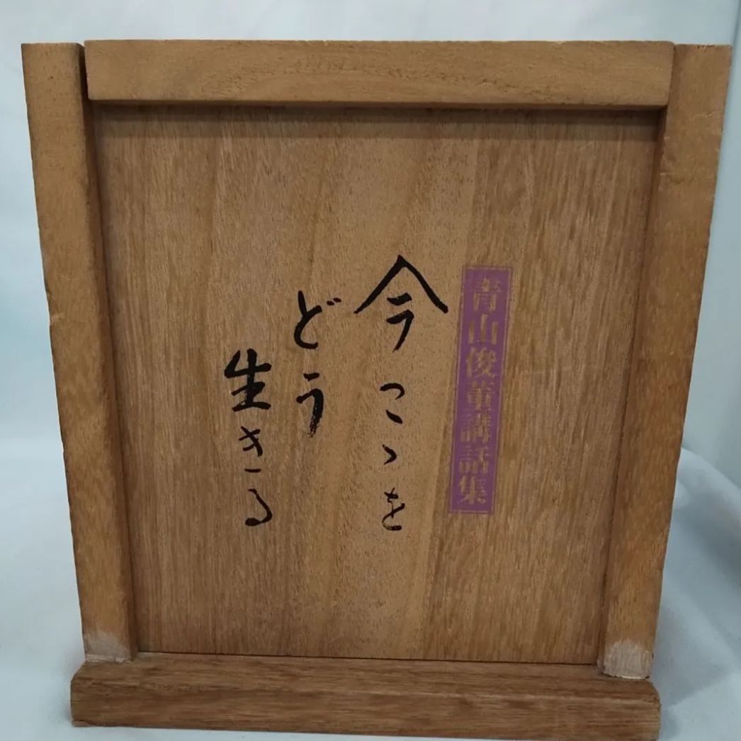 青山俊董講話集 CD 「天地いっぱいに生かされて」12巻 「今ここ