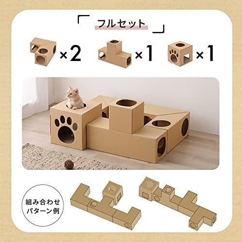 フルセット P-NTF