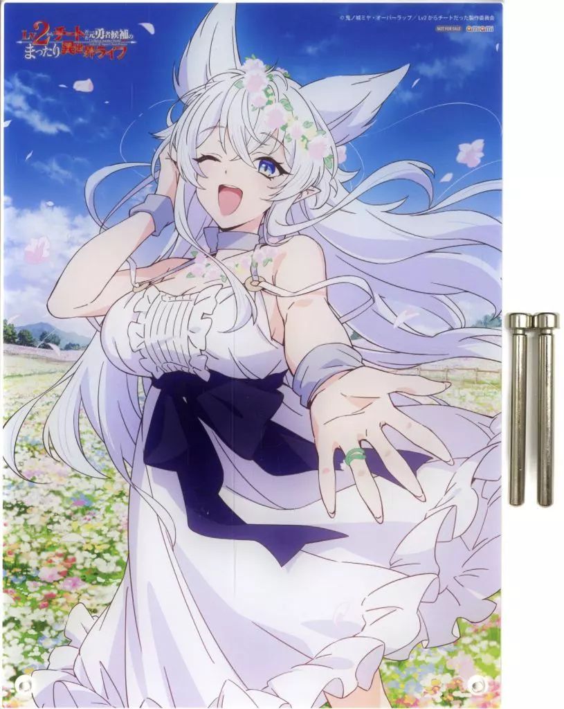 Lv2からチートだった　フェンリース　ビッグアクリル　キャラクタープレート 中古】アクリルスタンド・アクリルパネル フェンリース ビッグ
