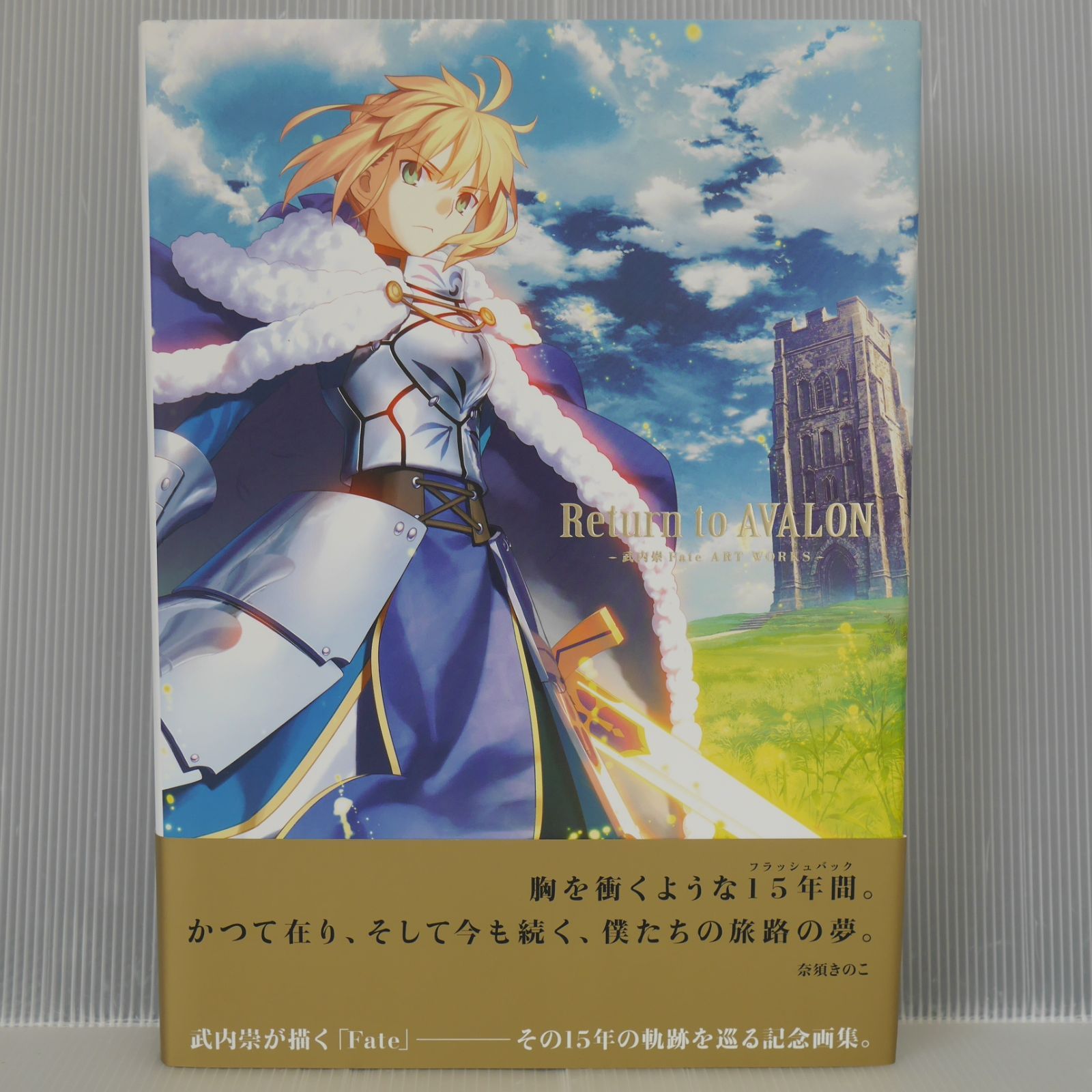 to AVALON Fate Takeuchi Takashi 画集 初版本 Return to AVALON 武内