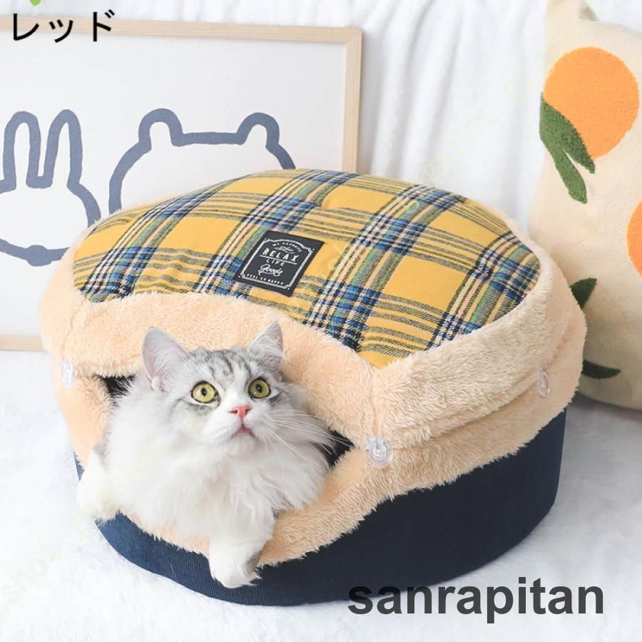 冬 キャットハウス