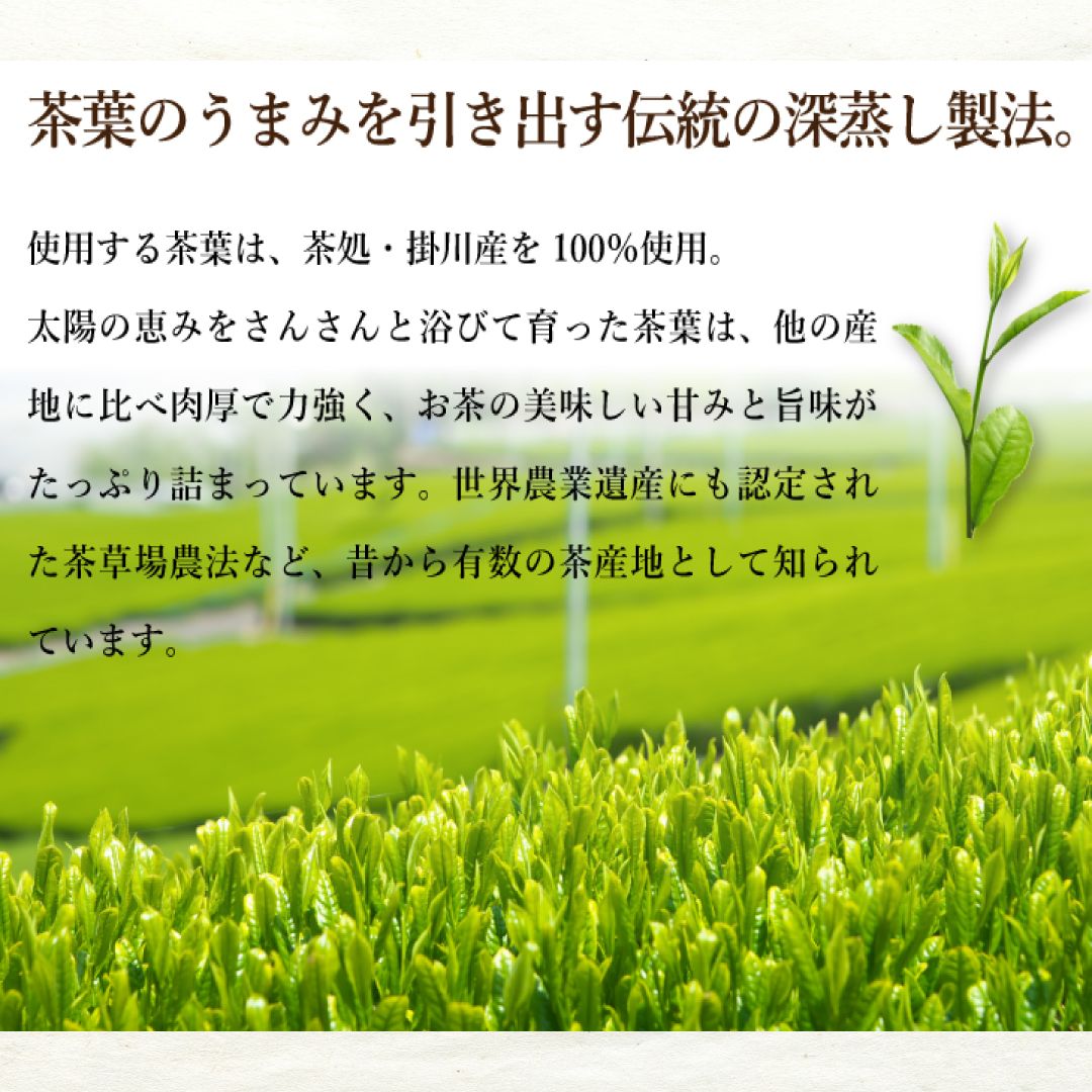 天皇杯受賞茶園緑茶ティーバッグ 5g×15個入×２袋 牧之原産深蒸し 緑茶(静岡県産) 煎茶 - メルカリ