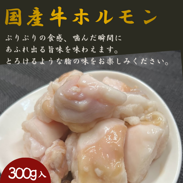 【お試しセット】黒毛和牛スジ500ｇ+国産牛ホルモン300ｇ