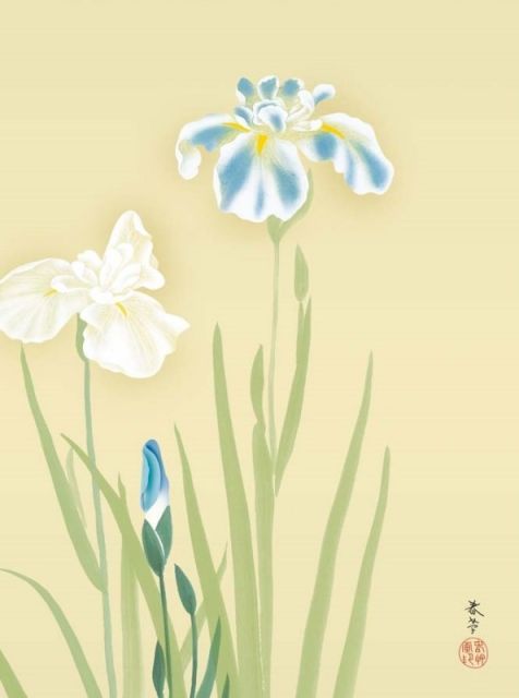 種類2：f6 額絵 菱田春草 花あやめ f8・f6・f4サイズ 日本の名画