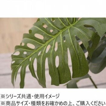 フェイクグリーン