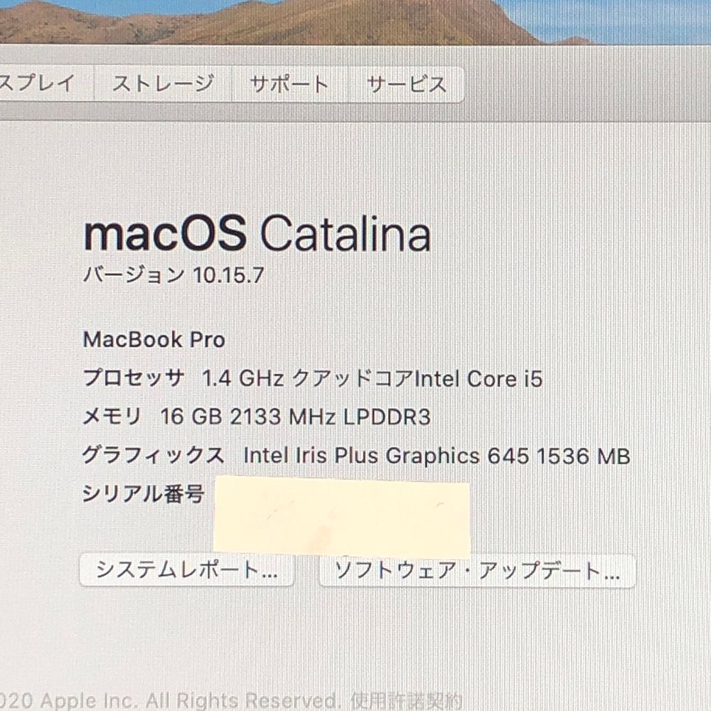 ◇ジャンク品・本体のみ◇Apple MacBook Pro (13インチ 2020