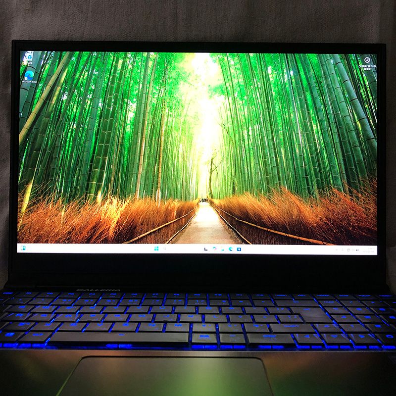 ゲーミングノートPC GALLERIA GCF1060GF-E (ジャンク)