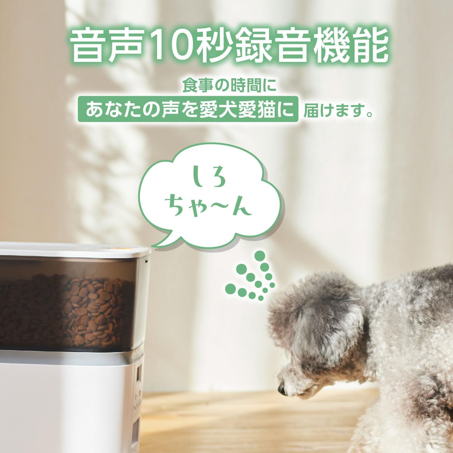 自動給餌器 猫