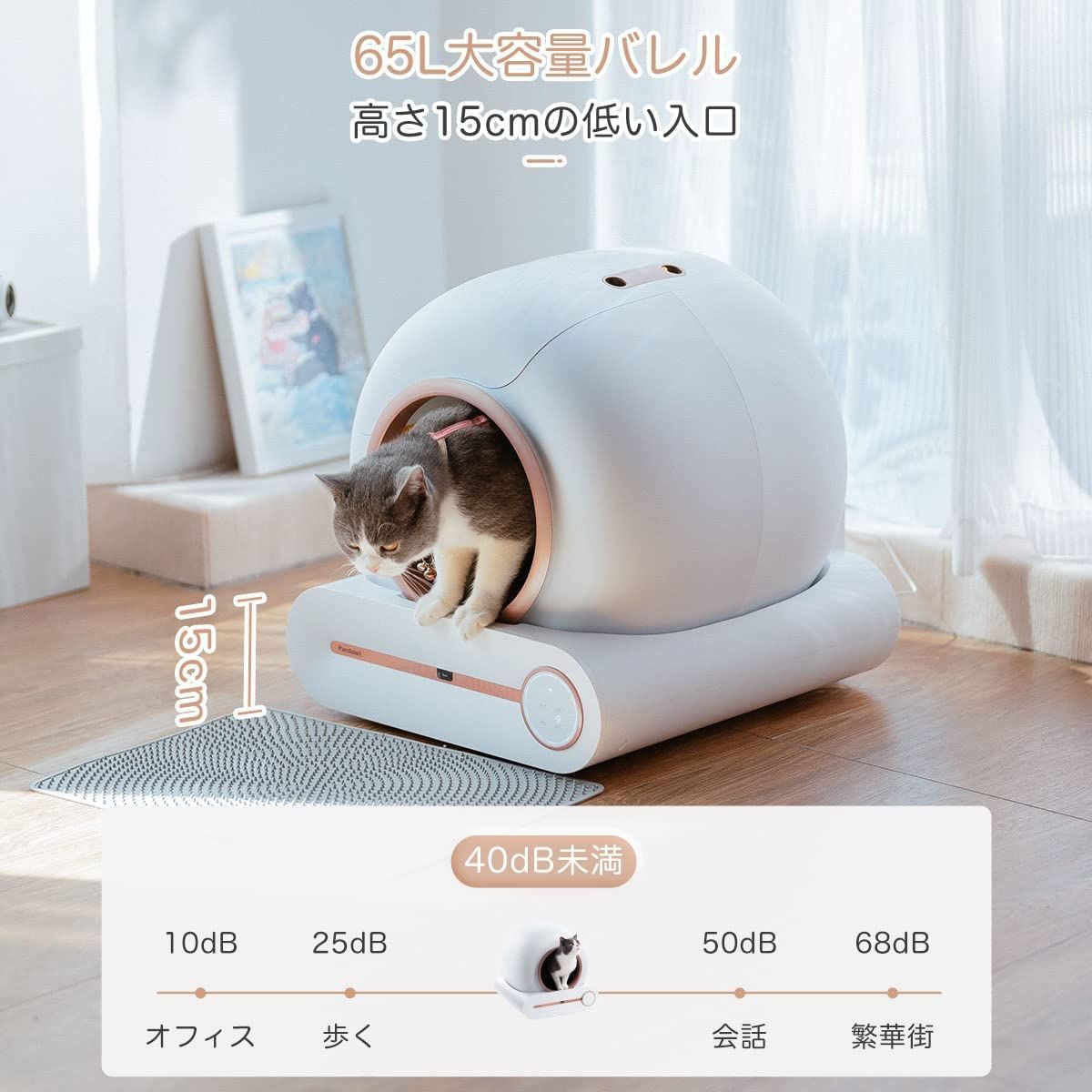 猫