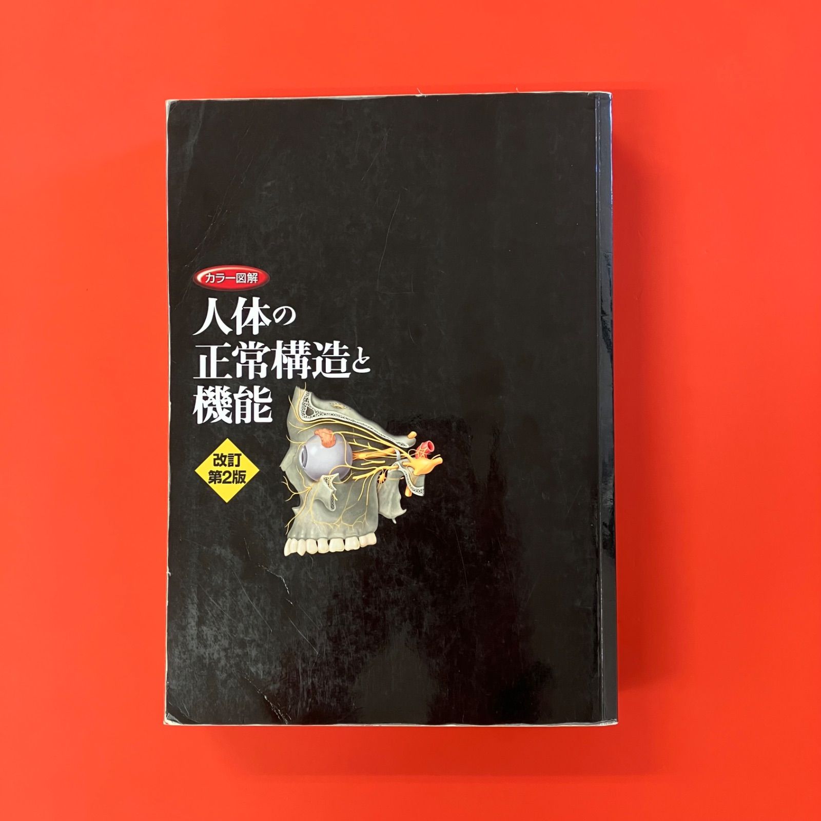 カラー図解 人体の正常構造と機能(全10巻縮刷版・全1冊)