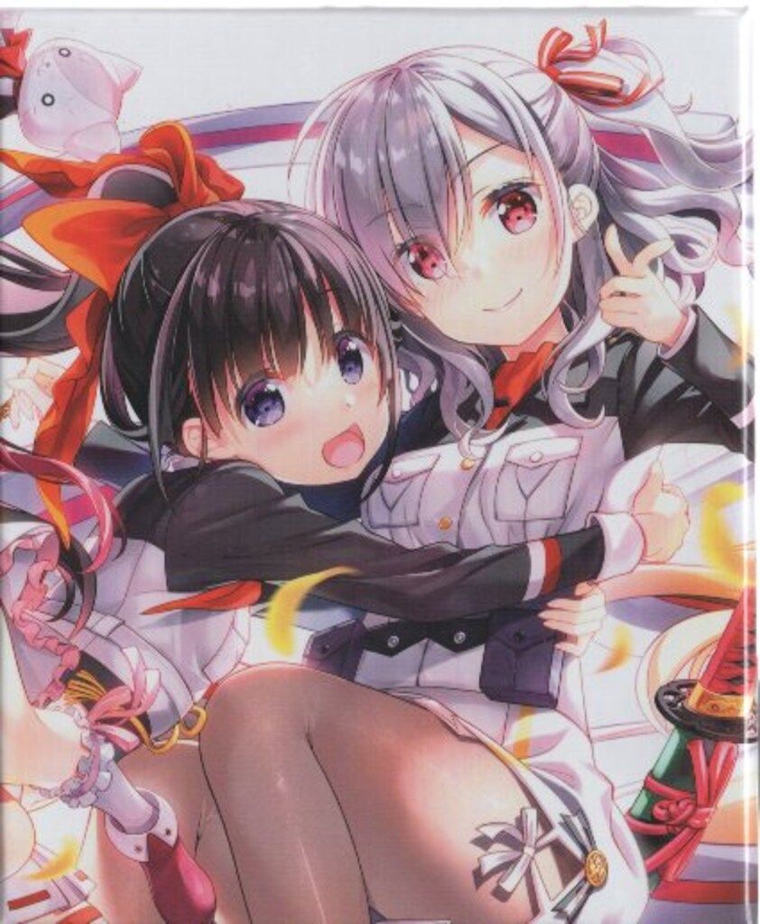 アニプレックス アニメBlu-ray 店舗共通特典BOX付 戦翼のシグルドリーヴァ 完全生産 版 全6巻 セット