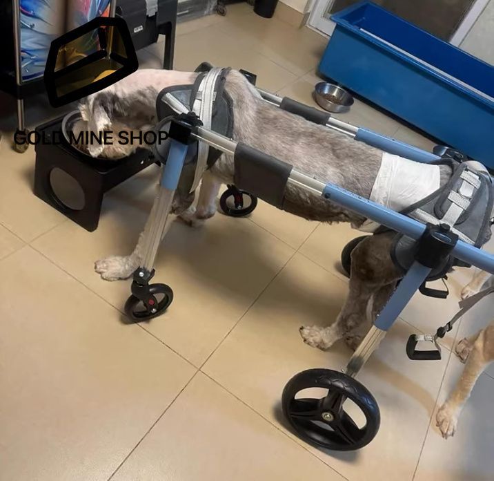 犬 車椅子 フルサポート犬用車椅子 4 輪 大型 中型 小型犬用調節 な犬用移動カート 前輪と後輪付き負傷ペット用脚装具カート Blue M
