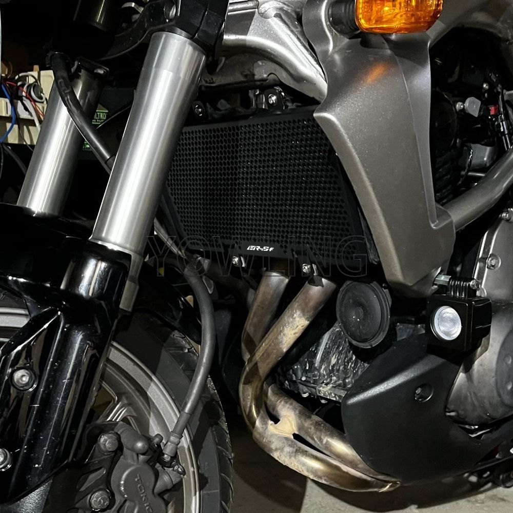 Y6-A246 一点物 人気実生サボテン 特選開花大株 多肉植物 花サボテン