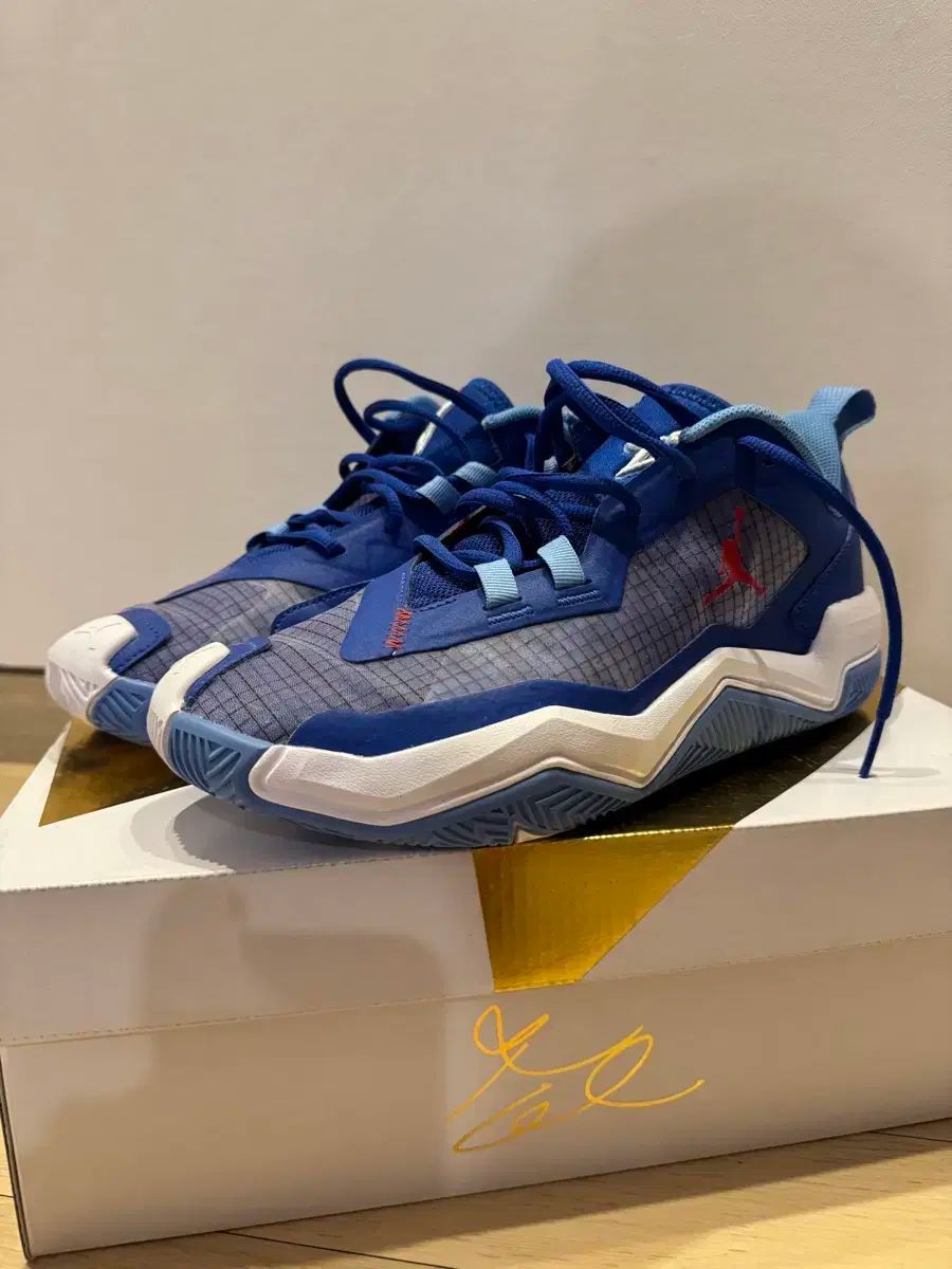 NIKE(ナイキ) ジョーダン ウェストブルック 1 テイク 4 270