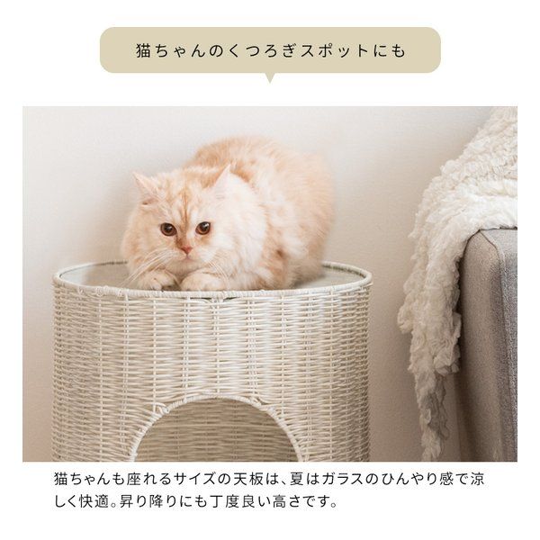 ピエネ