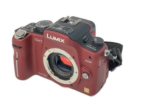 詰替え LUMIX GH1 | nongferndaddy.com