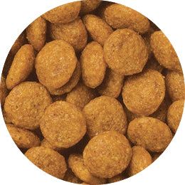 フィッシュ味