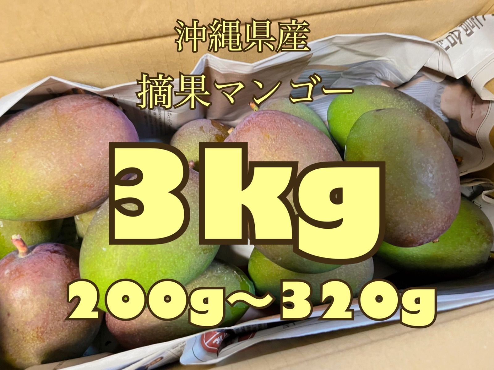 人気ブレゼント! 沖縄県産 青マンゴー箱込み3kg tbg.qa