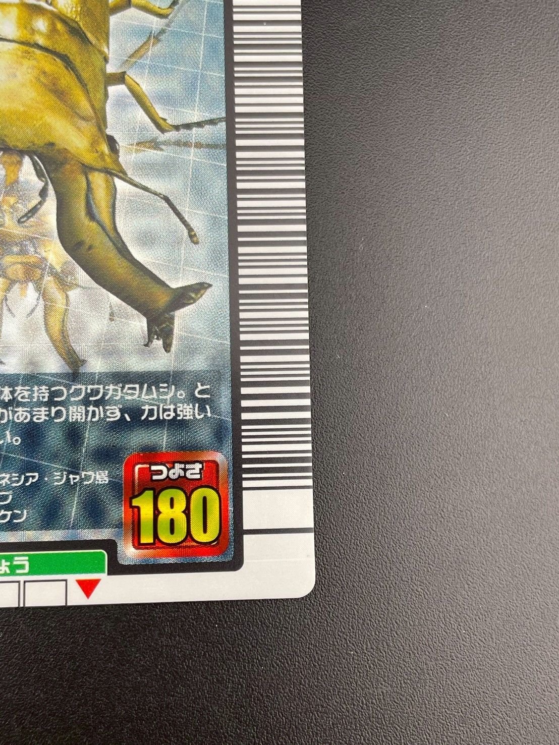 オウゴンオニクワガタ 金文字 昆虫王者ムシキング ムシキングカード トレカ