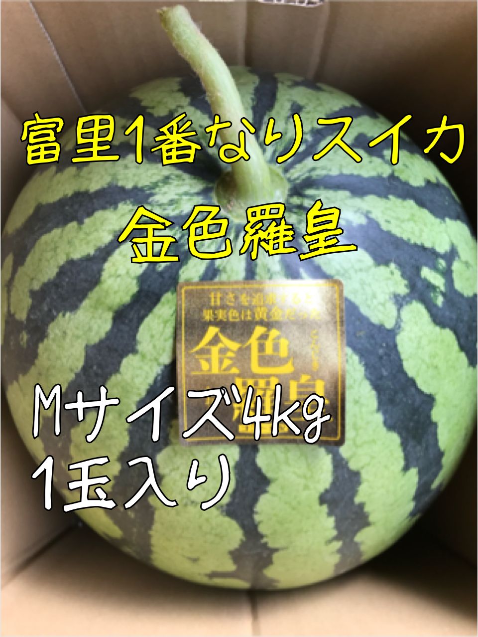 富里1番なりスイカ金色羅皇ＭＡサイズ2玉入り 楽天市場】すいか 大玉 金色羅皇 こんじきらおう すいか 鳥取