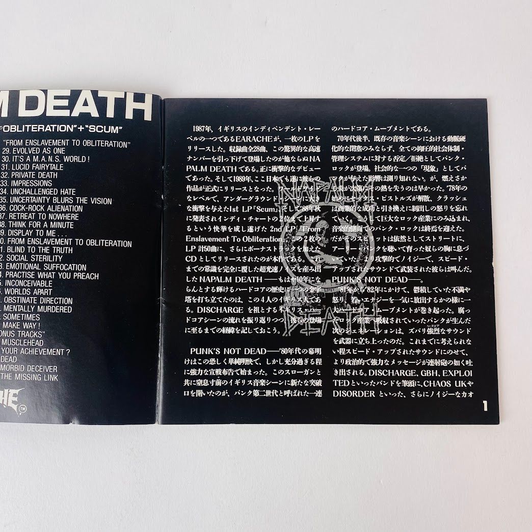 マキシマムザホルモン,Hi-STANDARD,SPICE OF LIFE RECORDSの重要