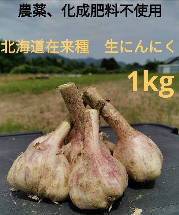 生ニンニク 1kg 残りわずかです！ 北海道在来種 希少 ピンクにんにく