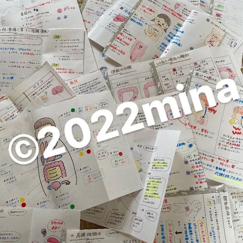国試対策ノート 30枚 1800円