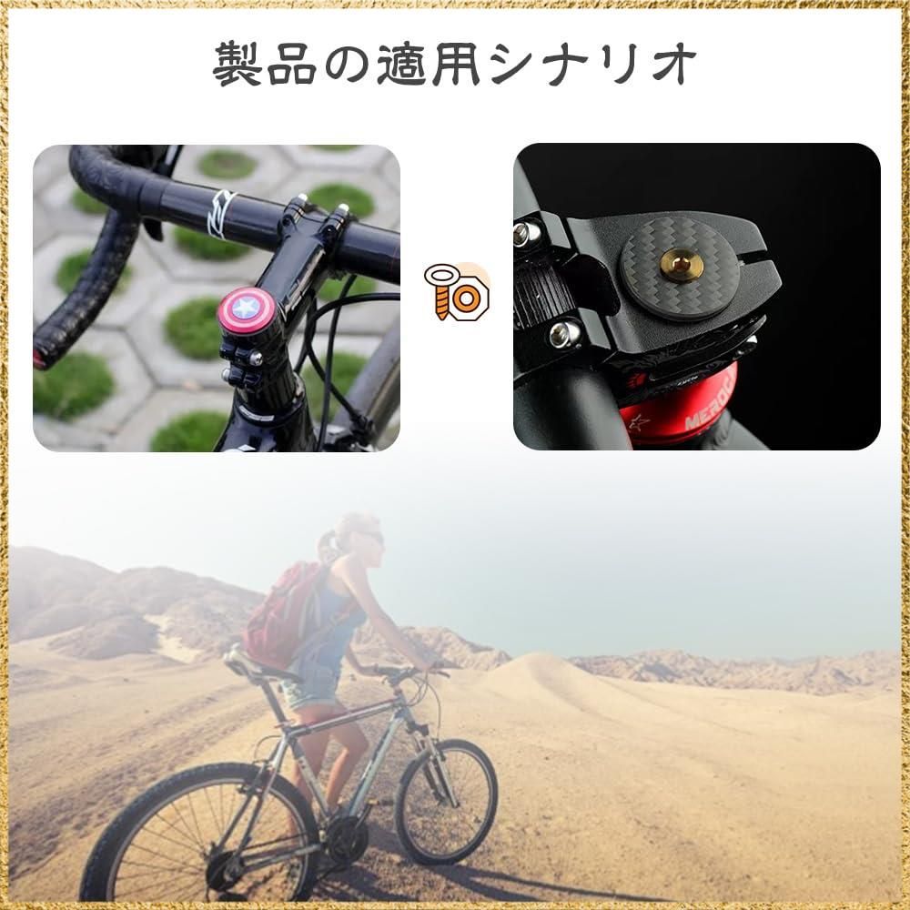 自転車拡張ボルト 高強度 コアスクリュー カーボンフォーク