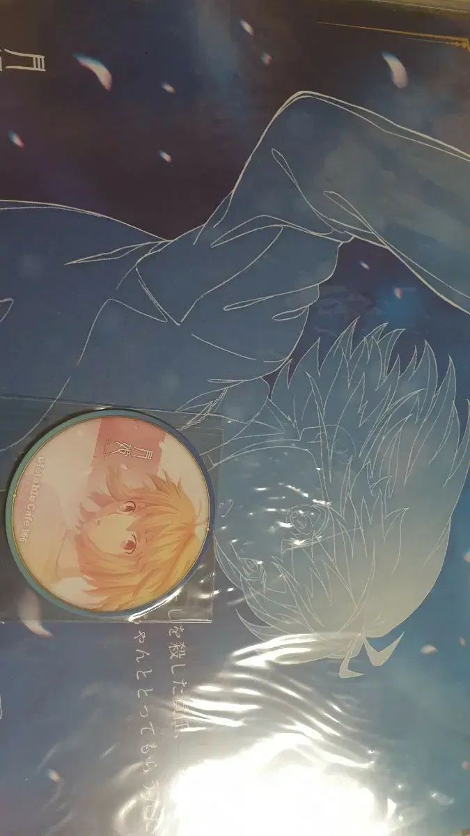 持ち運び不可 アルクエイド 特典 クリアファイル まとめ売り