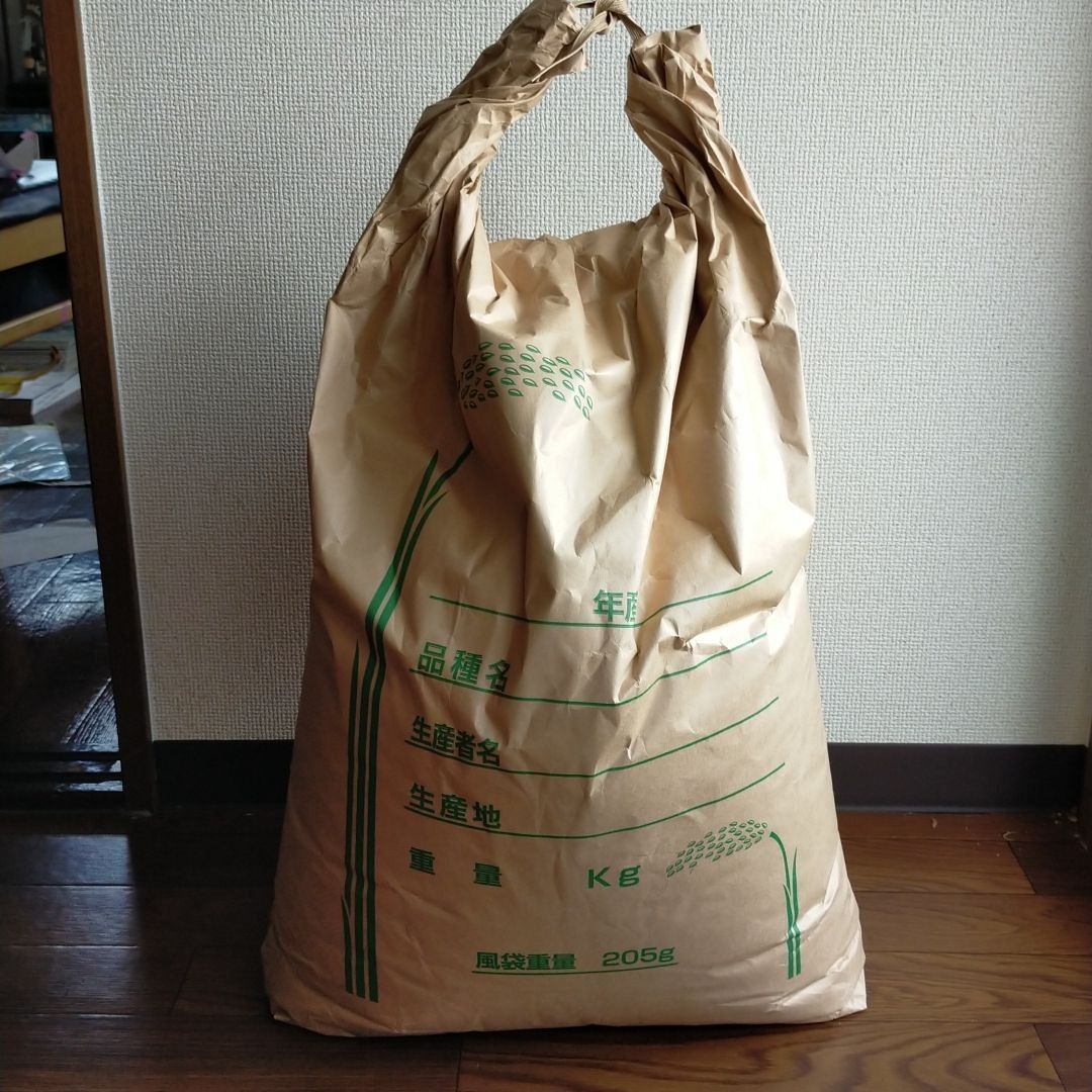 食品【令和5年】朝日米15kg