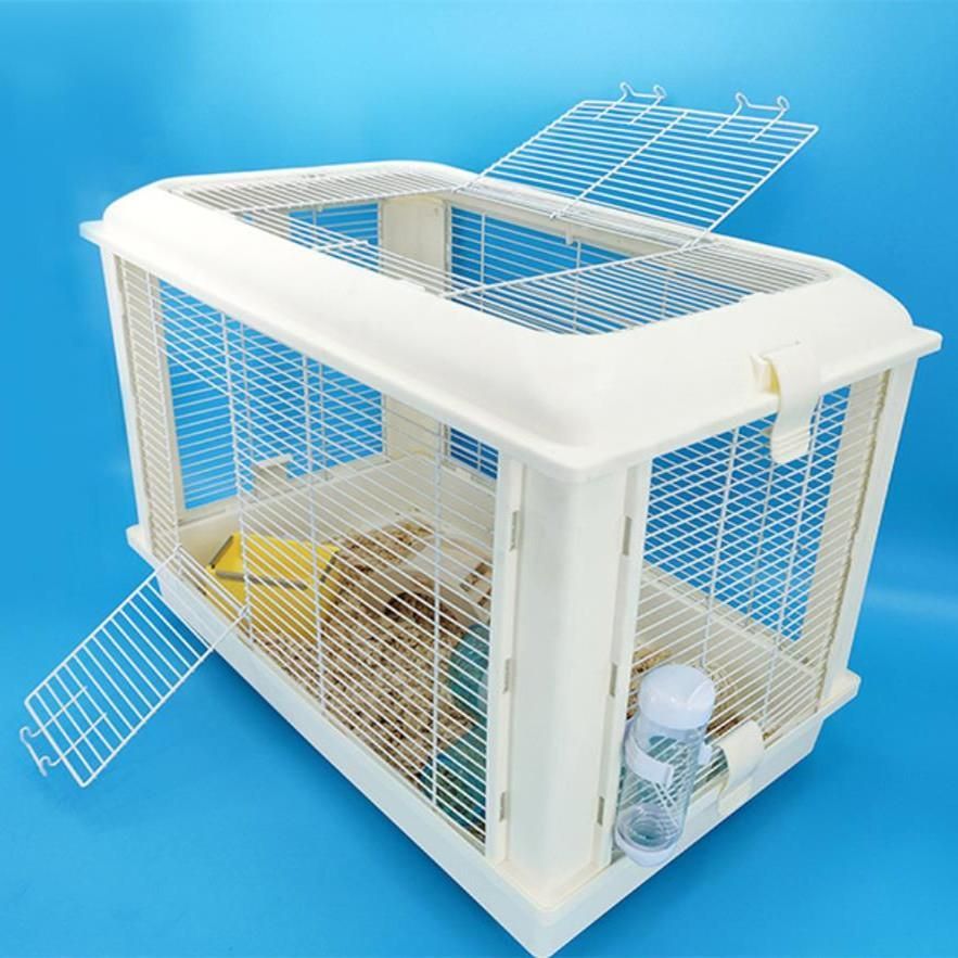 The game Boy's Film Show DVD 2009 アミューズ The Game Boy's Film