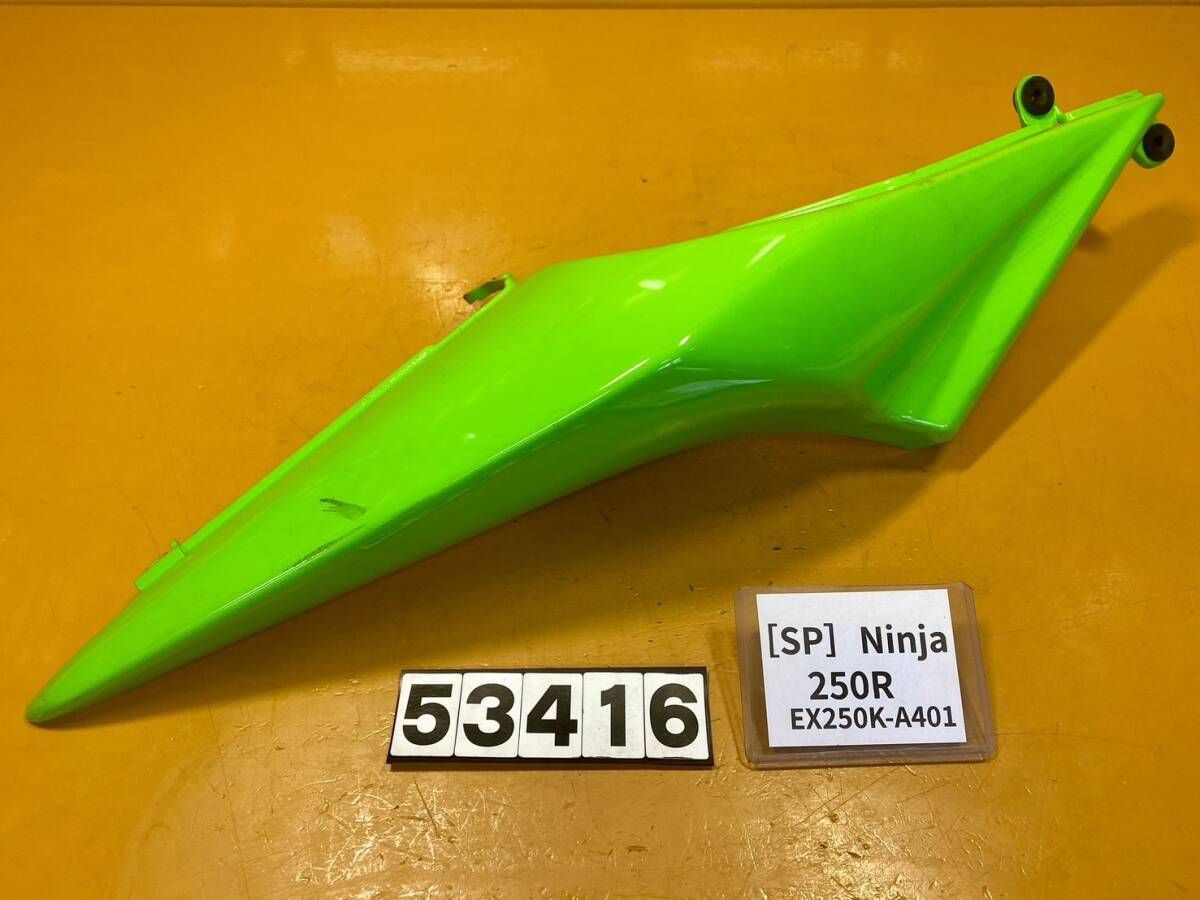 高品質，人気 【送料無料】[SP 53416]カワサキ ニンジャ250R EX250K