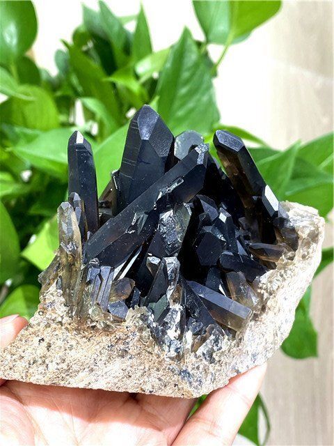 モリオン(黒水晶) クラスター モリオン(黒水晶)クラスター【Sサイズ】MOCLS-271｜魔除け効果の