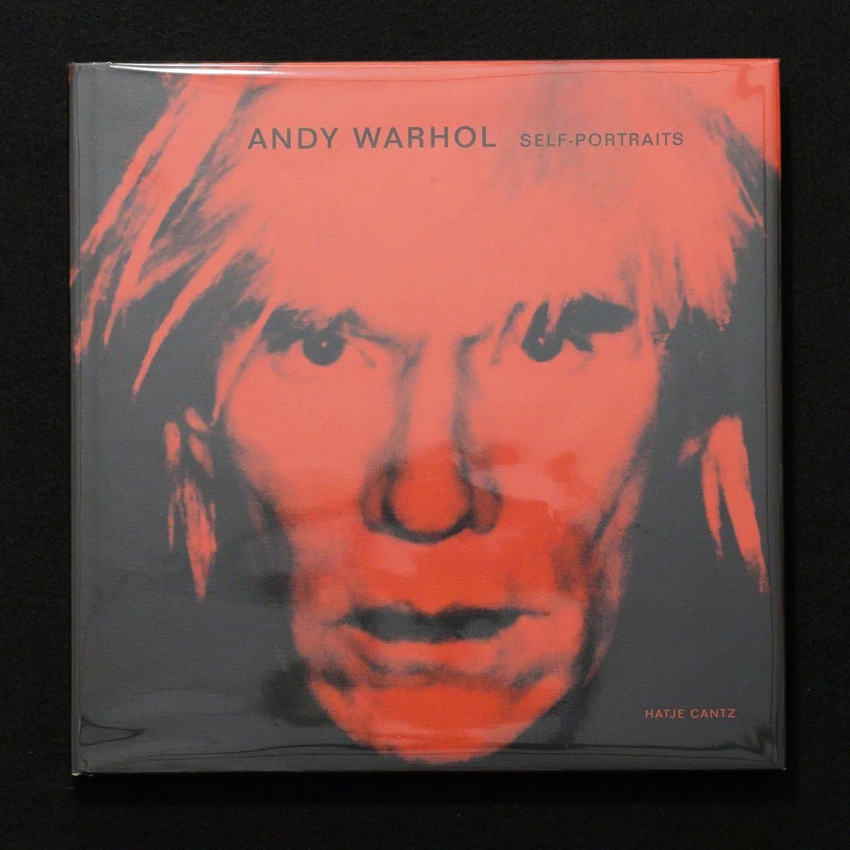 Andy Warhol KYOTO 展示会ポスター (セルフポートレート) A3 dev