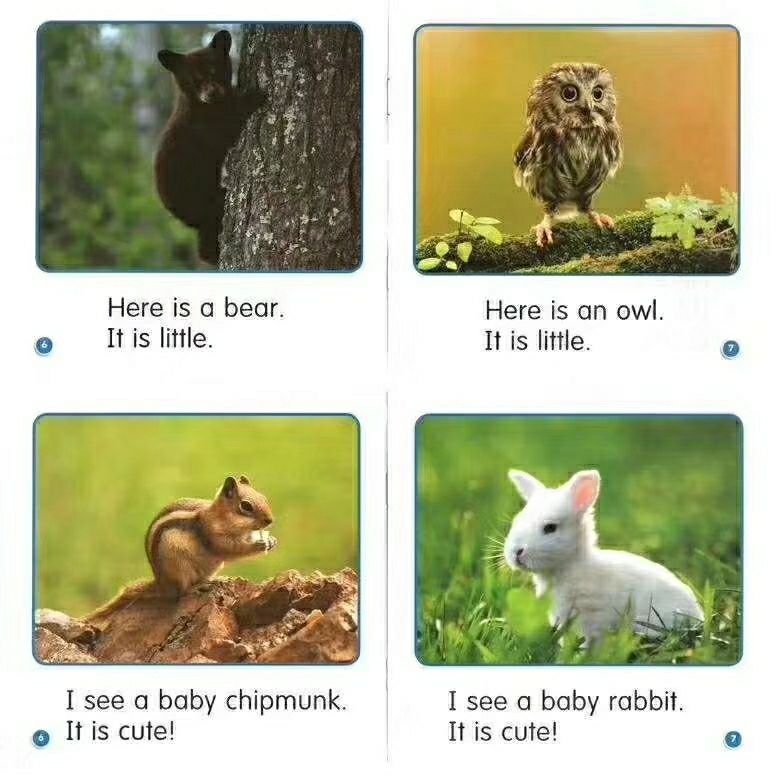 Guided science readers 64GBマイヤペン付　お得セット Guided science readers 64GBマイヤペン付 お得セット Guided