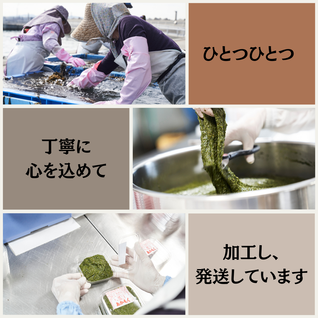 【天然アカモク】玄界灘の海成のアカモク　あかもく900ｇ|海成