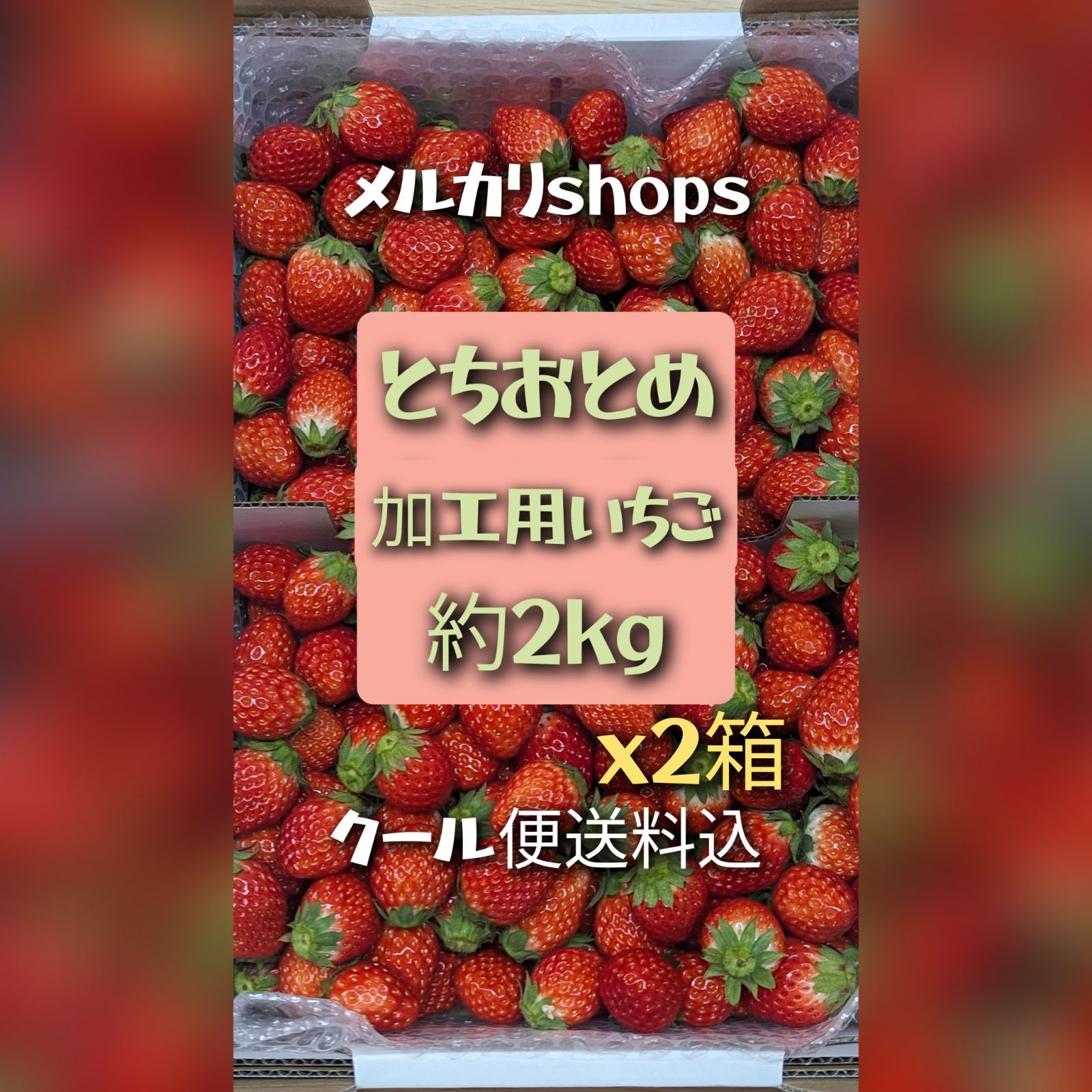 6 とちおとめ 加工用いちご2kg - 果物