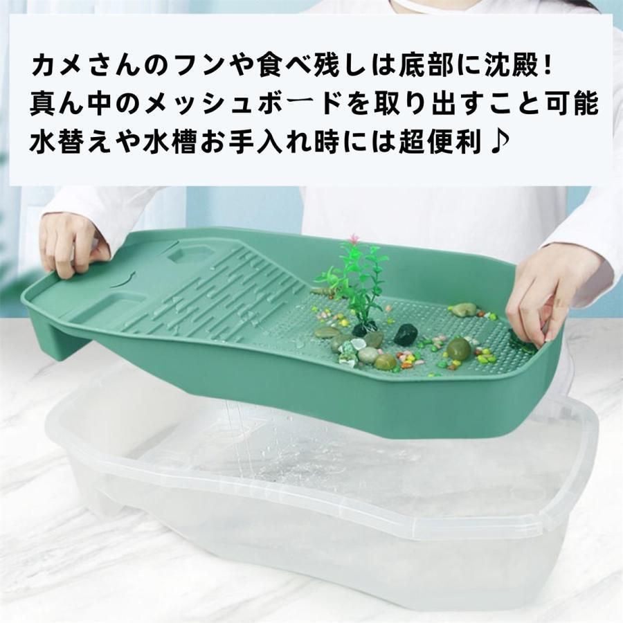 カメ