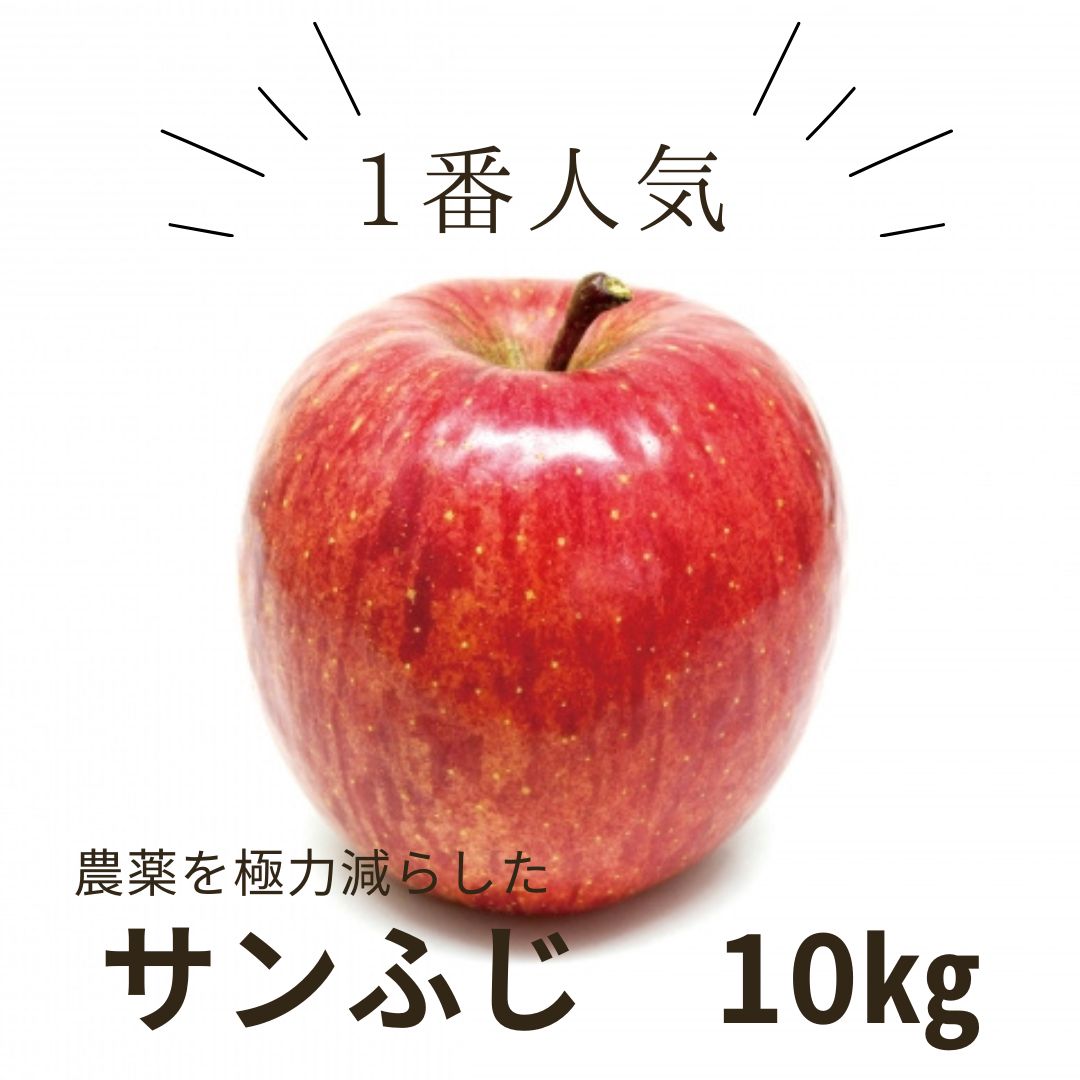 【信州】サンふじ10㎏(12月上旬発送開始予定)