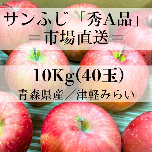 厳選 秀A品 10Kg 40玉 贈答レベル サンふじ 青森県産 JA津軽みらい ≪ ≫ サンフジ りんご リンゴ 試食