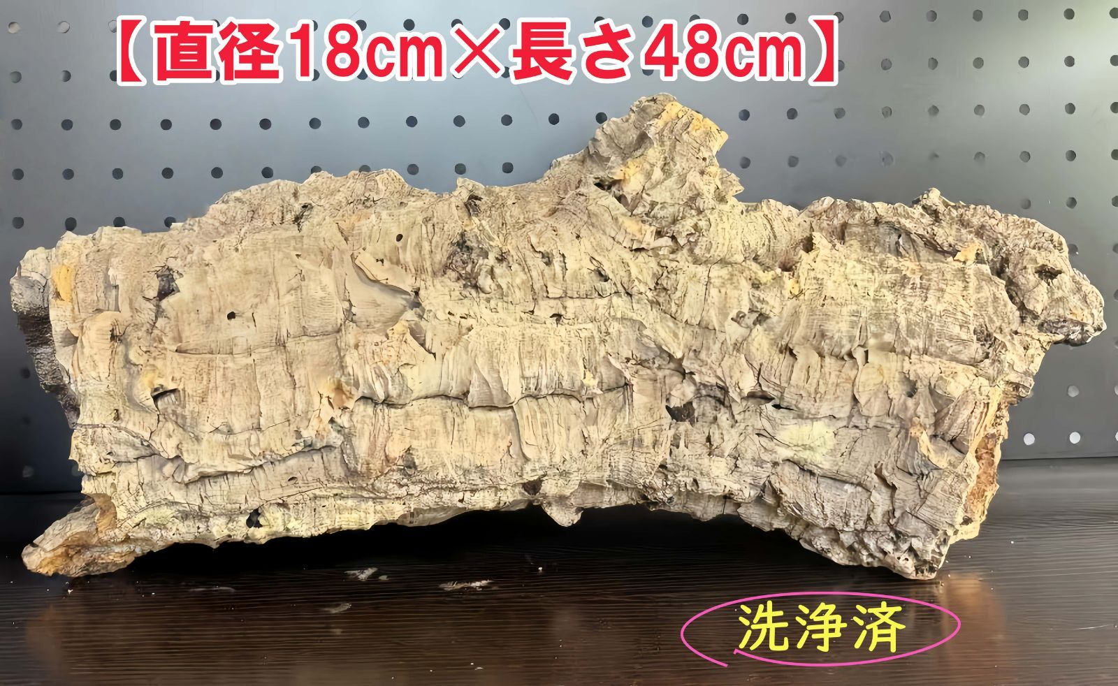 250514　 ポルトガル産 キャノンコルク コルク樹皮 　バージンコルク Amazon | ポルトガル産 極厚 バージン コルク樹皮 約10×20cm