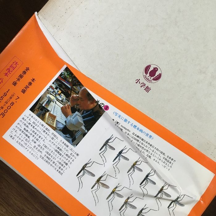 100サイズ×2個口◇16冊セット◇全巻初版『 日本大百科全書