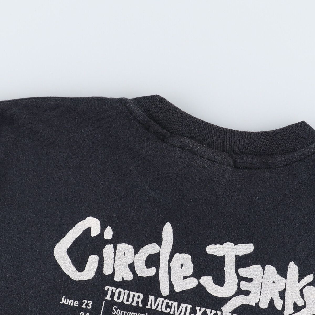 90年代 ヘインズ Hanes CIRCLE JERKS サークルジャークス TOUR NCNL XXXVIII ツアー バンドTシャツ バンT USA製 メンズM ヴィンテージ /evb001843