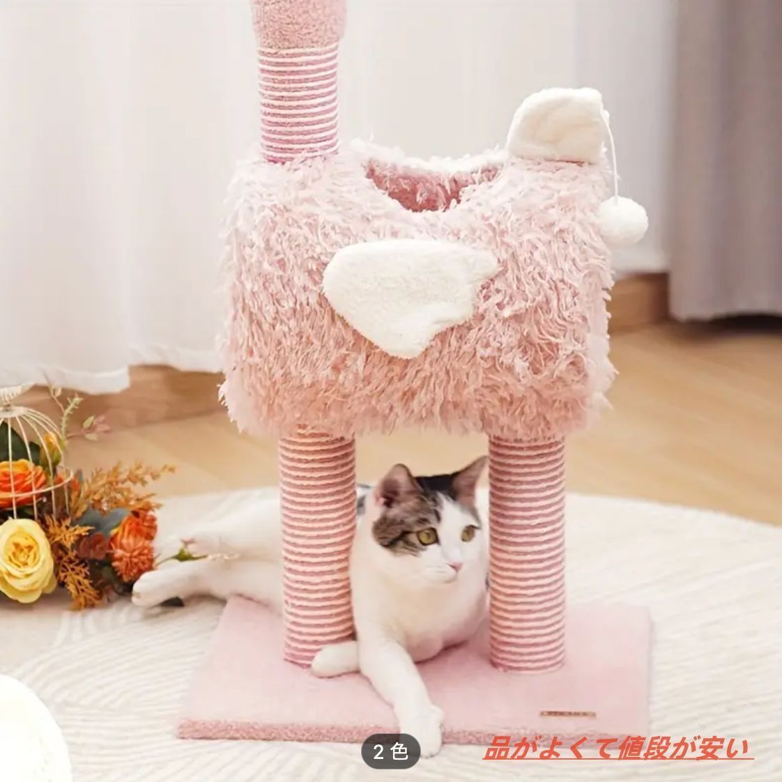 小型猫 中型猫