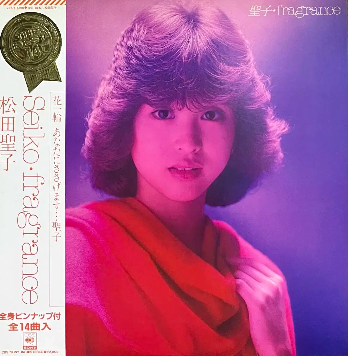 マカロンタワー6皿、フランス・エルキューイ