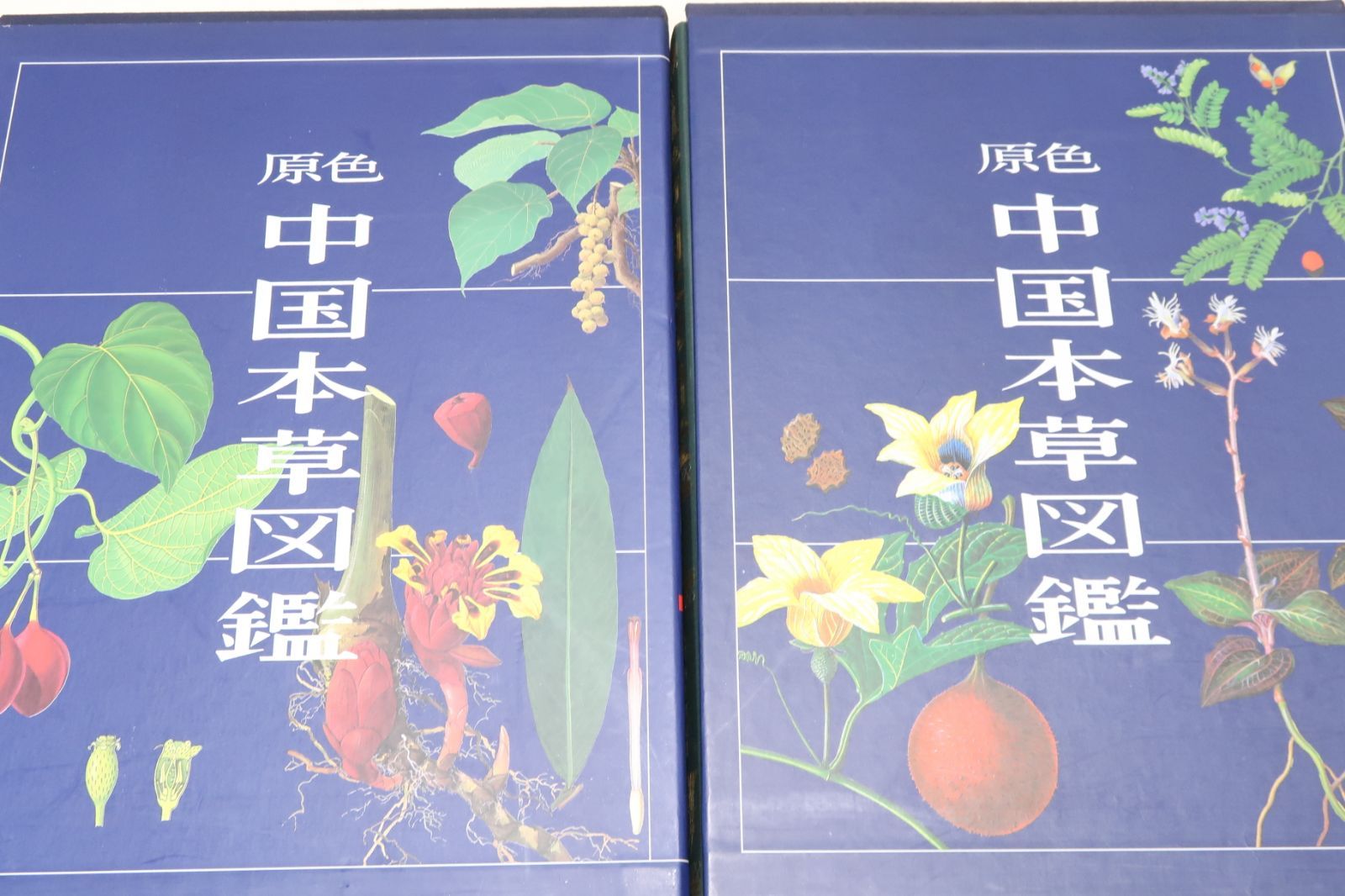 原色中国本草図鑑・9冊/最新最大の原色本草図鑑/多数の薬用植物