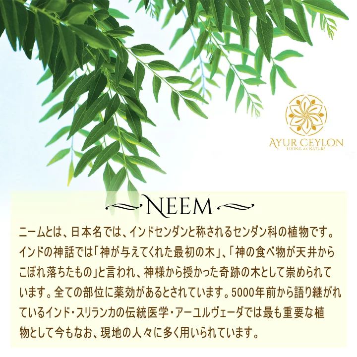 NEEM COMBING QUEEN木製アーユルヴェーダ櫛(ニーム コーム)1本 - メルカリ