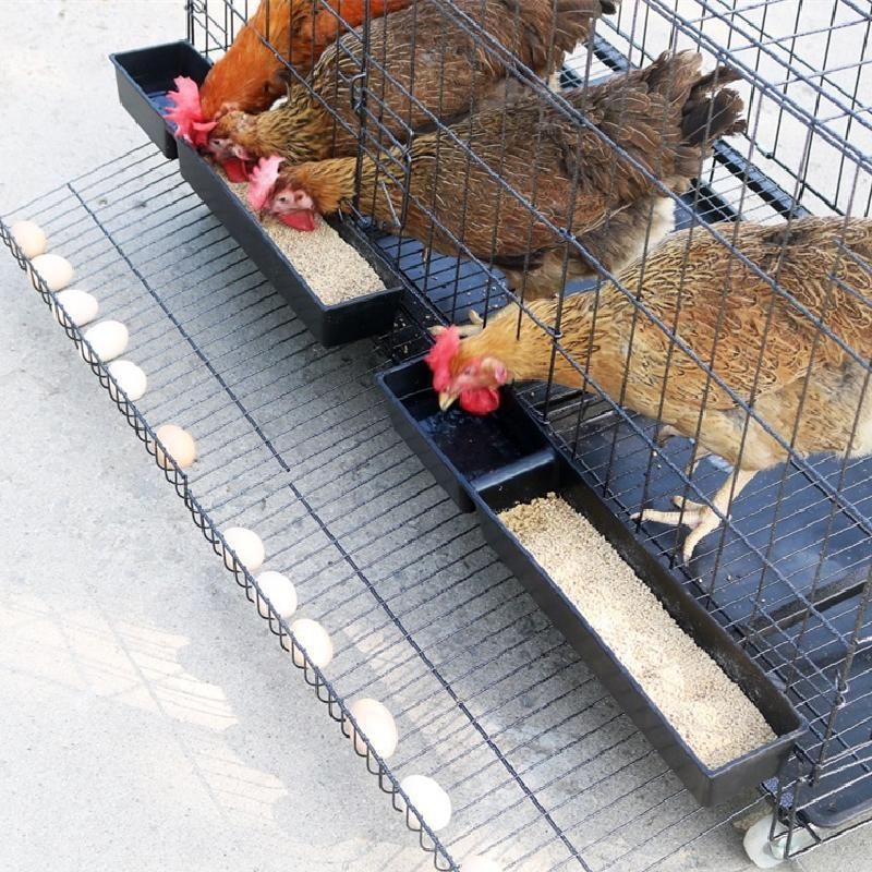 チキンケージ飼育ケージ